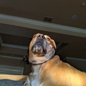 Meet your Posher, Gabriel